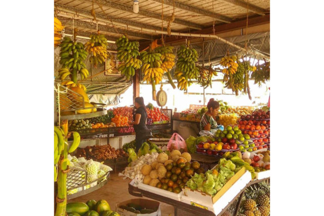 farm market san ignacio belize