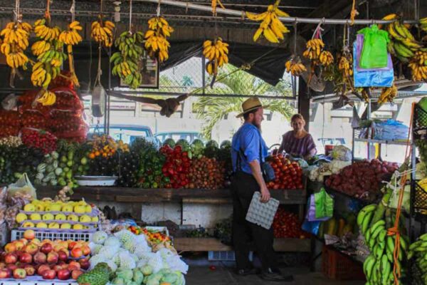 Gallery Farmers Market 02